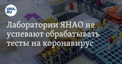 Лаборатории ЯНАО не успевают обрабатывать тесты на коронавирус - ura.news - округ Янао
