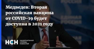 Дмитрий Медведев - Медведев: Вторая российская вакцина от COVID-19 будет доступна в 2021 году - nsn.fm - Россия
