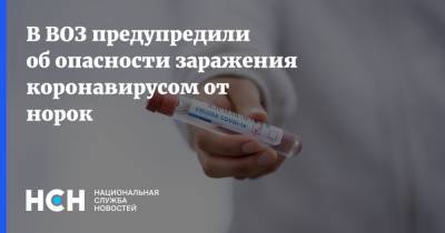 Мелита Вуйнович - В ВОЗ предупредили об опасности заражения коронавирусом от норок - nsn.fm - Россия