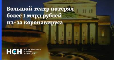 Владимир Урин - Большой театр потерял более 1 млрд рублей из-за коронавируса - nsn.fm