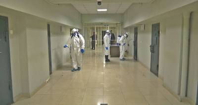 Грузия отличилась в борьбе с COVID-19 в пенитенциарной системе - sputnik-georgia.ru - Грузия - Тбилиси