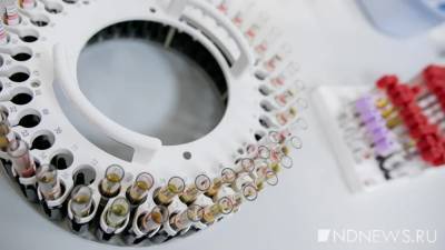 В Греции на норковых фермах выявили коронавирус - newdaynews.ru - Дания - Греция