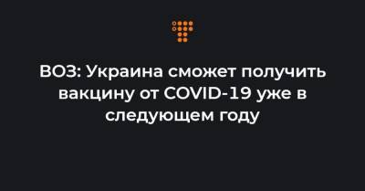 Ярно Хабихт - ВОЗ: Украина сможет получить вакцину от COVID-19 уже в следующем году - hromadske.ua - Украина