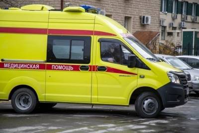 В Новосибирской области за сутки 176 человек заразились коронавирусом - novos.mk.ru - Новосибирск - Новосибирская обл.