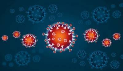 В России за сутки выявлено 22 572 новых случаев заражения коронавирусом - actualnews.org - Россия