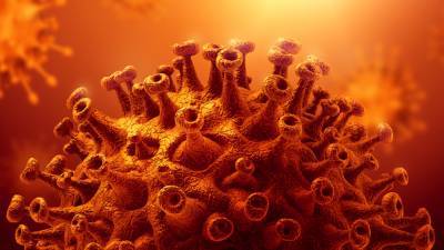 В Астраханской области еще 139 человек заразились коронавирусом - astrakhanfm.ru - Астраханская обл.