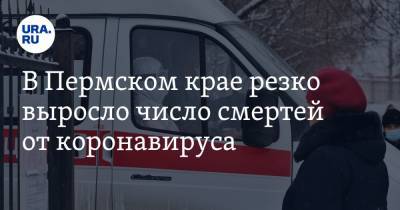 В Пермском крае резко выросло число смертей от коронавируса - ura.news - Пермский край