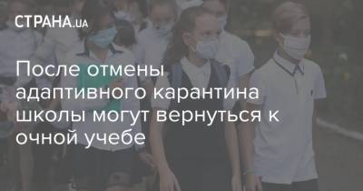 После отмены адаптивного карантина школы могут вернуться к очной учебе - strana.ua - Украина - Харьков - Сумы