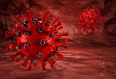Ученые нашли антитела к коронавирусу в анализах, взятых осенью 2019 года - online47.ru - Ленобласть обл.