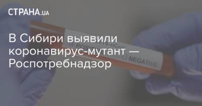 Анна Попова - В Сибири выявили коронавирус-мутант — Роспотребнадзор - strana.ua