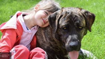 Испанские медики заявили о риске заразиться коронавирусом от собак - nation-news.ru