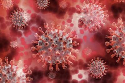 Четыре коронавирусных очага в Псковской области сняты с учета - mk-pskov.ru - Псковская обл. - Псков