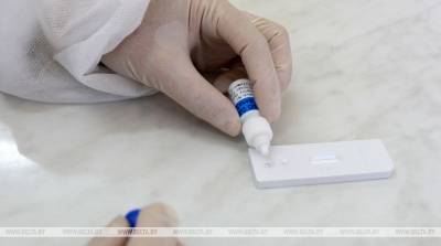 Власти США впервые одобрили экспресс-тест на коронавирус, который можно провести дома - belta.by - Сша - Минск