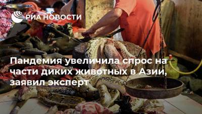 Пандемия увеличила спрос на части диких животных в Азии, заявил эксперт - ria.ru - Владивосток