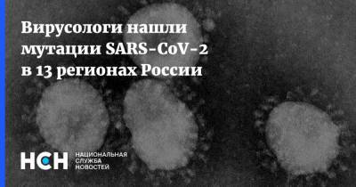 Дмитрий Лиознов - Вирусологи нашли мутации SARS-CoV-2 в 13 регионах России - nsn.fm - Россия
