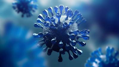 Новый коронавирус оказался способен быстро мутировать в теле одного человека - Cursorinfo: главные новости Израиля - cursorinfo.co.il - Израиль - Бостон