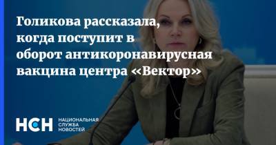 Владимир Путин - Татьяна Голикова - Голикова рассказала, когда поступит в оборот антикоронавирусная вакцина центра «Вектор» - nsn.fm - Россия
