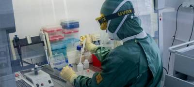 Дмитрий Лиознов - Новые мутации коронавируса выявили в 13 российских регионах - stolicaonego.ru - Россия