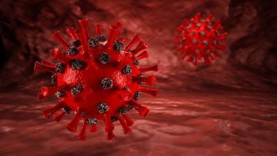 Доказано: иммунитет от коронавируса сохраняется даже после исчезновения антител - vesti.ru