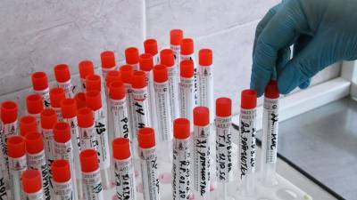 В России за сутки проведено более 577 тысяч тестов на коронавирус - russian.rt.com - Россия