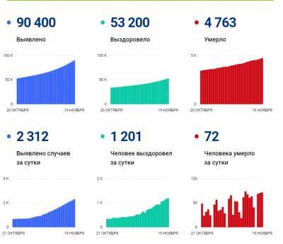 В Петербурге за сутки выявили 2 312 новых случаев COVID-19 — данные на 19 ноября - ivbg.ru - Россия - Санкт-Петербург - Оперштаб - Петербург