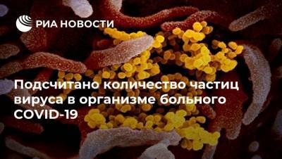 Подсчитано количество частиц вируса в организме больного COVID-19 - ria.ru - Москва - Сша - Израиль