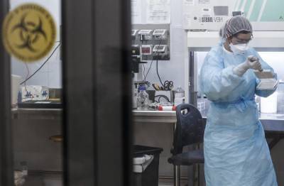 Власти Дании заявили об исчезновении обнаруженного у норок вируса - m24.ru - Дания