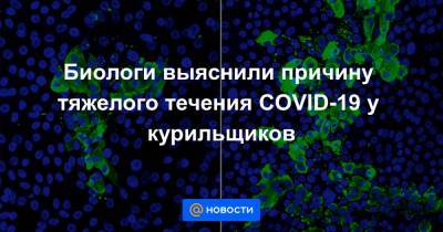 Биологи выяснили причину тяжелого течения COVID-19 у курильщиков - news.mail.ru