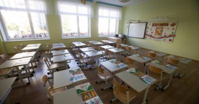 Светлана Трусенева - В минобре рассказали, как действуют в школах при выявлении больного коронавирусом ребёнка - klops.ru
