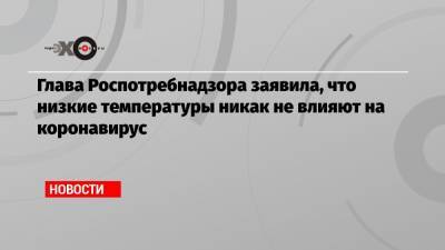 Анна Попова - Глава Роспотребнадзора заявила, что низкие температуры никак не влияют на коронавирус - echo.msk.ru