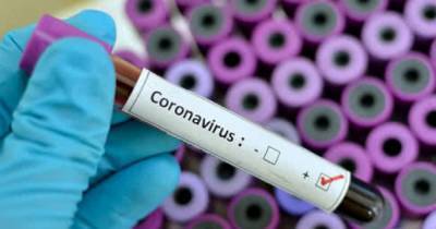 Ученые назвали ТОП-4 ранних симптома коронавируса - focus.ua