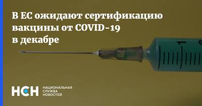 Ангела Меркель - В ЕС ожидают сертификацию вакцины от COVID-19 в декабре - nsn.fm - Китай - Германия - Евросоюз