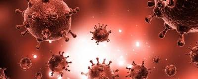 Ученые доказали повышение риска тяжелой формы коронавируса у курильщиков - runews24.ru - Лос-Анджелес