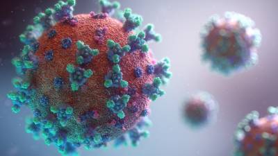 Сколько весит коронавирус: необычное исследование - 24tv.ua - Сша - Израиль