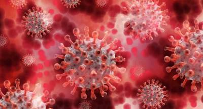 Учёные: Вакцина от краснухи и кори облегчает течение тяжёлой формы COVID-19 - actualnews.org - Сша - штат Джорджия