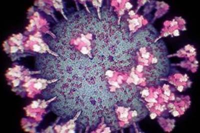 Бессимптомные больные COVID-19 реже передают вирус, - исследование - zik.ua