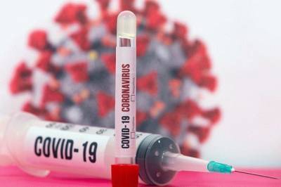 Biontech и Pfizer регистрируют вакцину от коронавируса - real-vin.com - Украина - Сша - Англия - Япония - Австралия - Канада - Евросоюз