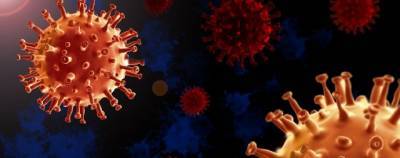 Ученые установили суперраспространителей коронавируса - runews24.ru - штат Флорида