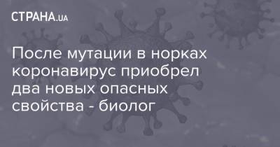 Анча Баранова - Джордж Мэйсон - После мутации в норках коронавирус приобрел два новых опасных свойства - биолог - strana.ua - Сша - Дания