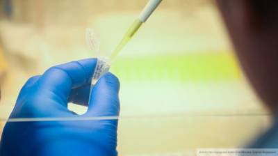 Модифицированный коронавирус обнаружили в Краснодарском крае - nation-news.ru - Краснодарский край