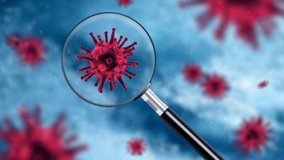 Анч Баранов - Мутировавший коронавирус обойдет иммунитет? — Мнение биолога - 5-tv.ru - Россия - Дания