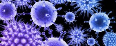 Ученые обнаружили молекулу-блокатор коронавируса - runews24.ru