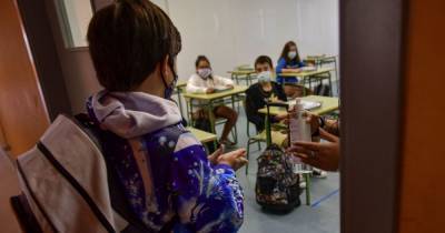 В Житомире учителей проверили на коронавирус: старшеклассники могут вернуться к учебе - tsn.ua - Украина - Житомир