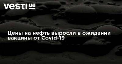 Цены на нефть выросли в ожидании вакцины от Covid-19 - vesti.ua