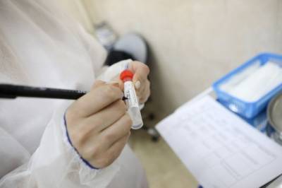 В России проведено почти 73 миллиона тестов на коронавирус - aif.ru - Россия