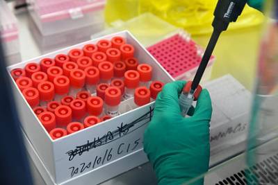В Китае 17 тысяч человек сдали тест на коронавирус из-за одного заразившегося - lenta.ru - Китай - Шанхай - Shanghai