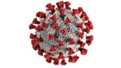 Ученые обнародовали ранее неизвестные факты о коронавирусе - Cursorinfo: главные новости Израиля - cursorinfo.co.il - Израиль