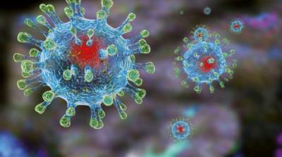 Nine News - Иммунитет к коронавирусу может сохраняться до восьми месяцев – исследование - ru.slovoidilo.ua - Украина