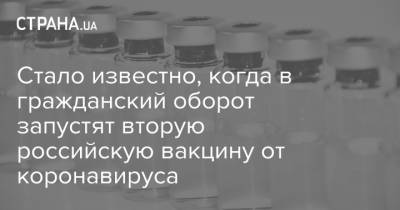 Стало известно, когда в гражданский оборот запустят вторую российскую вакцину от коронавируса - strana.ua