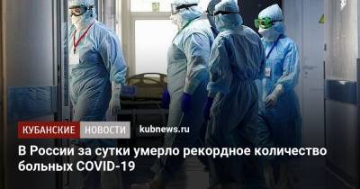 В России за сутки умерло рекордное количество больных COVID-19 - kubnews.ru - Россия